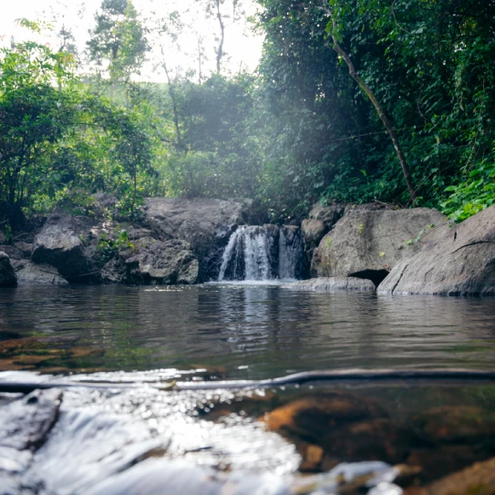 vythiri pano2