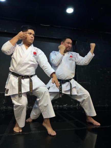 Wellness 6 karate