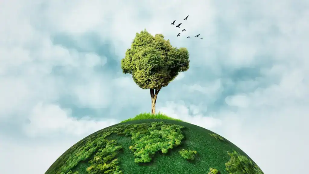 environmental day