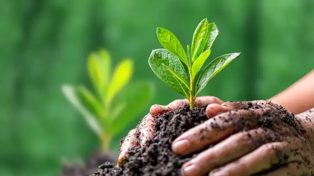 nature nurtured